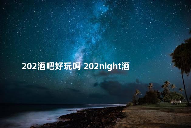 202酒吧好玩吗 202night酒吧怎么样